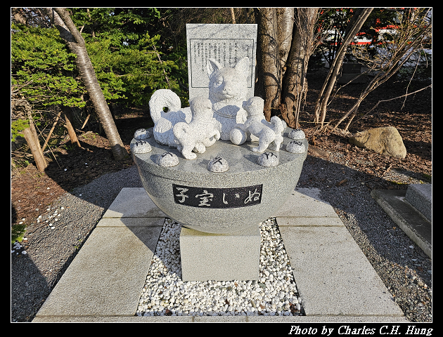 北海道賞櫻–Day 6–小樽總鎮守 小樽住吉神社