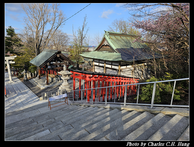 北海道賞櫻–Day 6–小樽總鎮守 小樽住吉神社