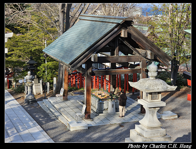 北海道賞櫻–Day 6–小樽總鎮守 小樽住吉神社