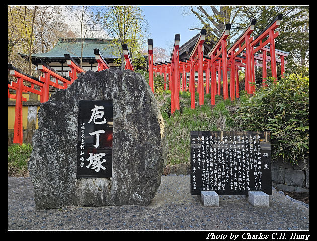 北海道賞櫻–Day 6–小樽總鎮守 小樽住吉神社