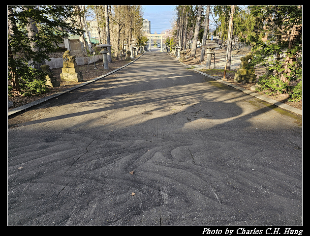 北海道賞櫻–Day 6–小樽總鎮守 小樽住吉神社