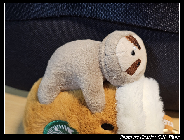 【Starbucks 星巴克】抱抱咖啡樹懶鑰匙圈