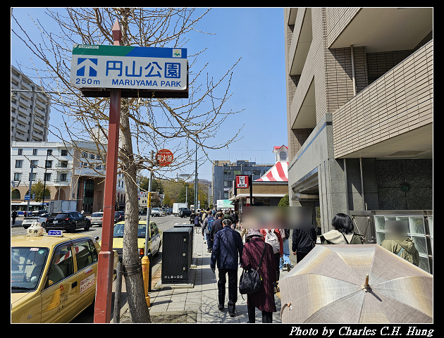 北海道賞櫻–Day 7–円山公園、北海道神宮