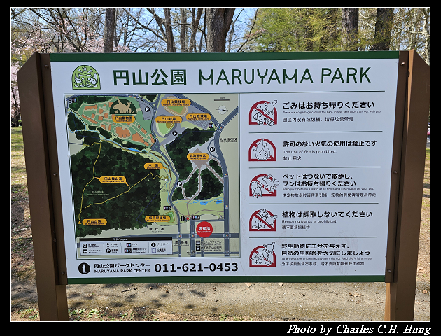 北海道賞櫻–Day 7–円山公園、北海道神宮 - 第19張圖 北海道賞櫻–Day 7–円山公園、北海道神宮