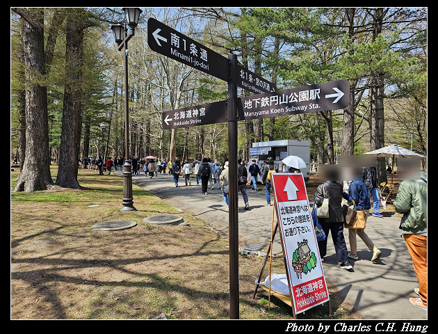 北海道賞櫻–Day 7–円山公園、北海道神宮