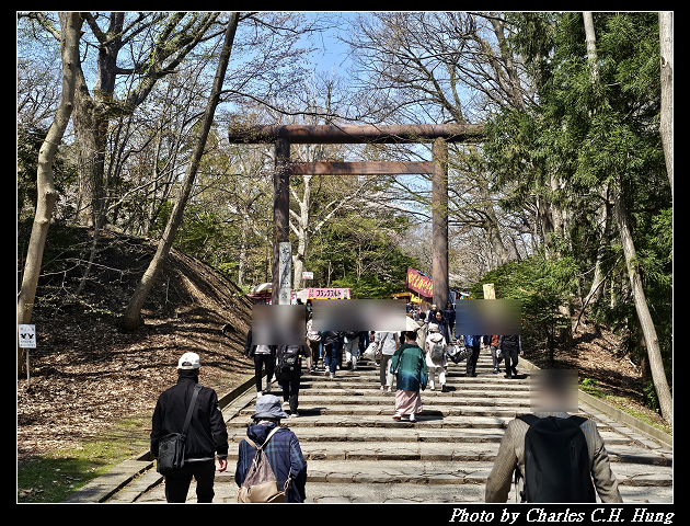 北海道賞櫻–Day 7–円山公園、北海道神宮