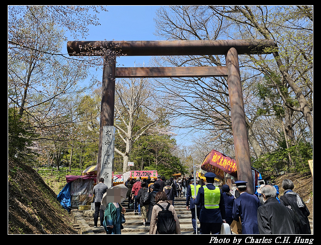北海道賞櫻–Day 7–円山公園、北海道神宮
