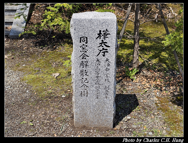 北海道賞櫻–Day 7–円山公園、北海道神宮 - 第29張圖 北海道賞櫻–Day 7–円山公園、北海道神宮