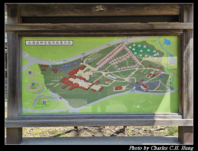 北海道賞櫻–Day 7–円山公園、北海道神宮 - 第30張圖 北海道賞櫻–Day 7–円山公園、北海道神宮