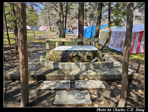 北海道賞櫻–Day 7–円山公園、北海道神宮