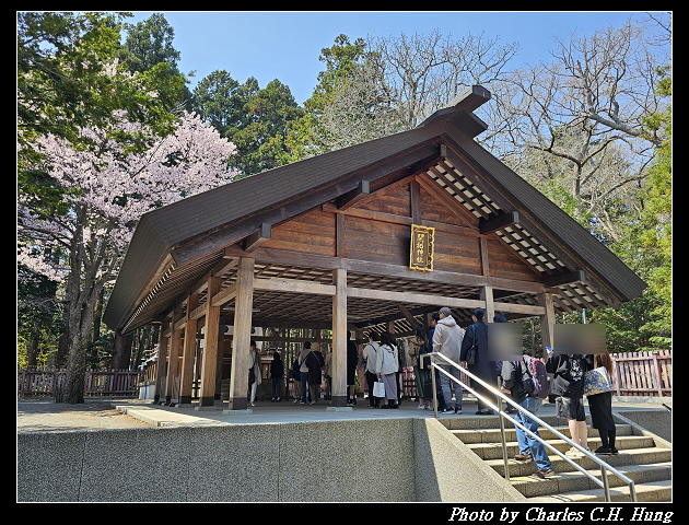 北海道賞櫻–Day 7–円山公園、北海道神宮