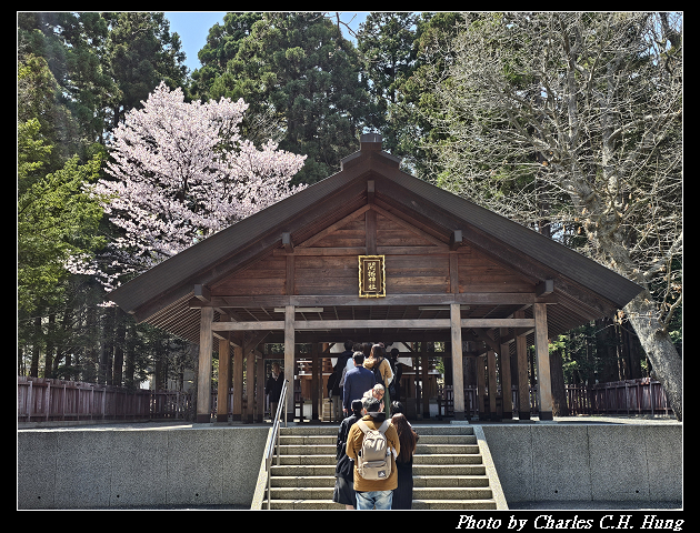 北海道賞櫻–Day 7–円山公園、北海道神宮