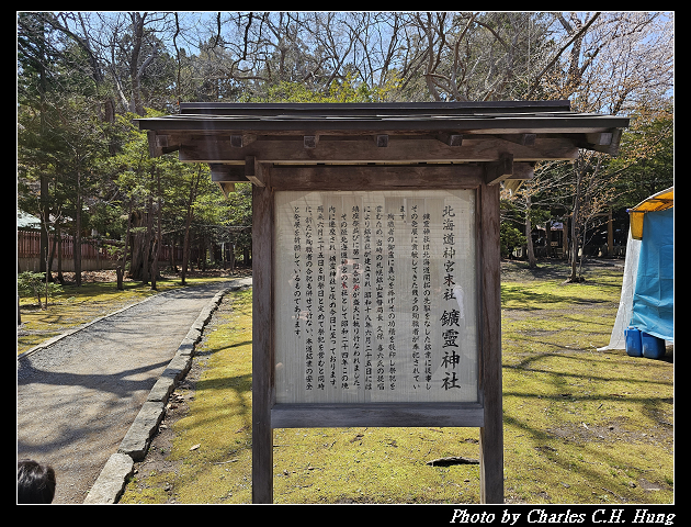 北海道賞櫻–Day 7–円山公園、北海道神宮
