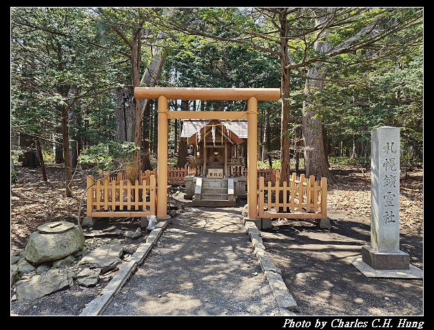 北海道賞櫻–Day 7–円山公園、北海道神宮