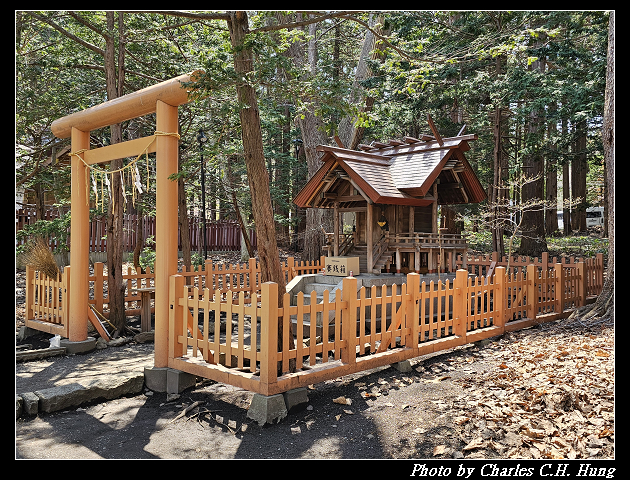 北海道賞櫻–Day 7–円山公園、北海道神宮