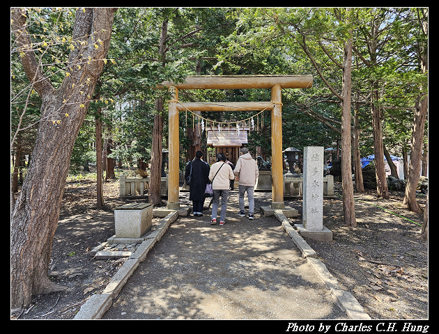 北海道賞櫻–Day 7–円山公園、北海道神宮