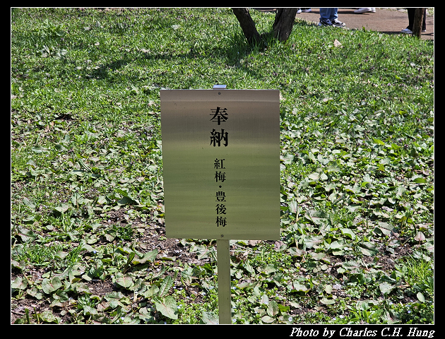 北海道賞櫻–Day 7–円山公園、北海道神宮 - 第53張圖 北海道賞櫻–Day 7–円山公園、北海道神宮