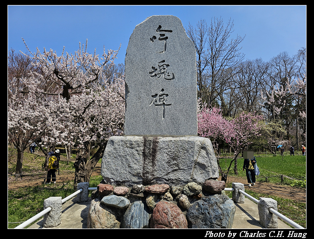 北海道賞櫻–Day 7–円山公園、北海道神宮 - 第61張圖 北海道賞櫻–Day 7–円山公園、北海道神宮