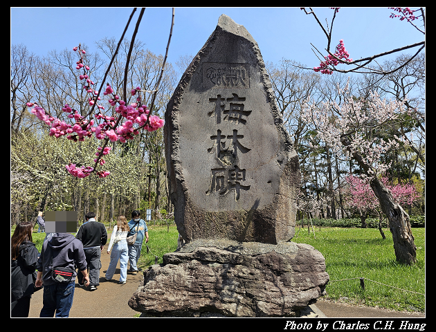 北海道賞櫻–Day 7–円山公園、北海道神宮 - 第62張圖 北海道賞櫻–Day 7–円山公園、北海道神宮