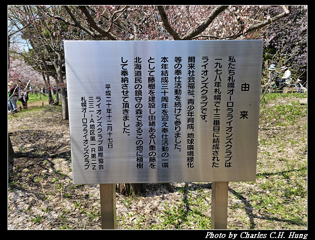 北海道賞櫻–Day 7–円山公園、北海道神宮 - 第68張圖 北海道賞櫻–Day 7–円山公園、北海道神宮