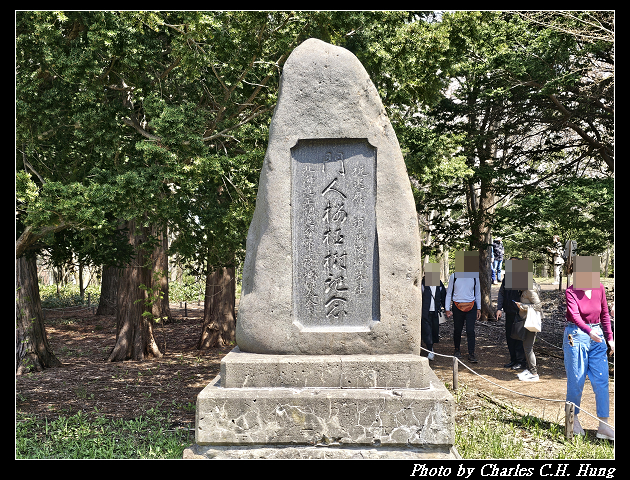 北海道賞櫻–Day 7–円山公園、北海道神宮