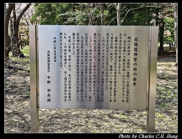 北海道賞櫻–Day 7–円山公園、北海道神宮