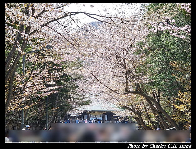 北海道賞櫻–Day 7–円山公園、北海道神宮 - 第83張圖 北海道賞櫻–Day 7–円山公園、北海道神宮