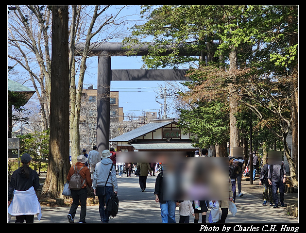 北海道賞櫻–Day 7–円山公園、北海道神宮