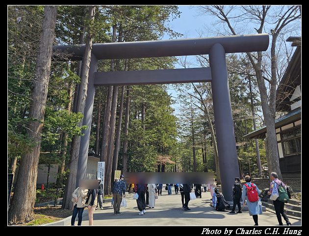 北海道賞櫻–Day 7–円山公園、北海道神宮