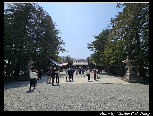 北海道賞櫻–Day 7–円山公園、北海道神宮