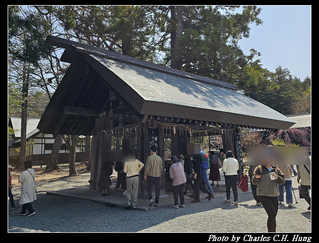 北海道賞櫻–Day 7–円山公園、北海道神宮