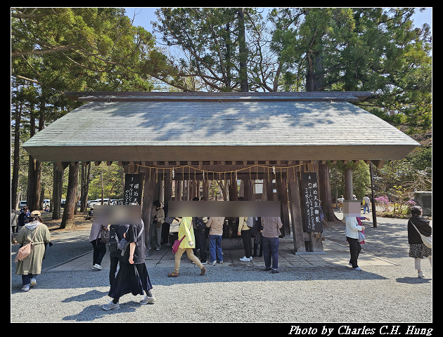 北海道賞櫻–Day 7–円山公園、北海道神宮