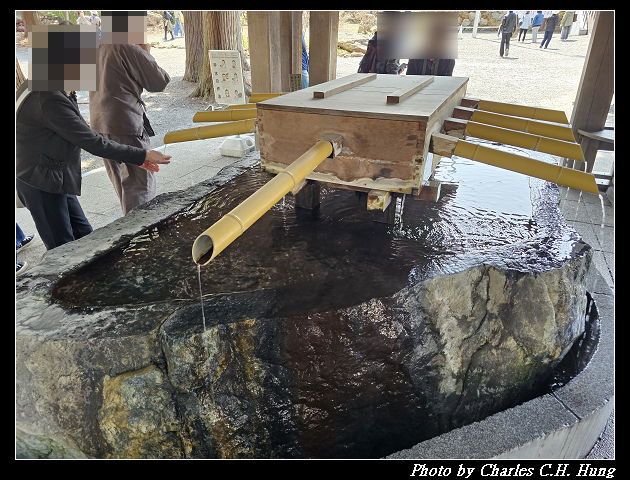 北海道賞櫻–Day 7–円山公園、北海道神宮 - 第94張圖 北海道賞櫻–Day 7–円山公園、北海道神宮