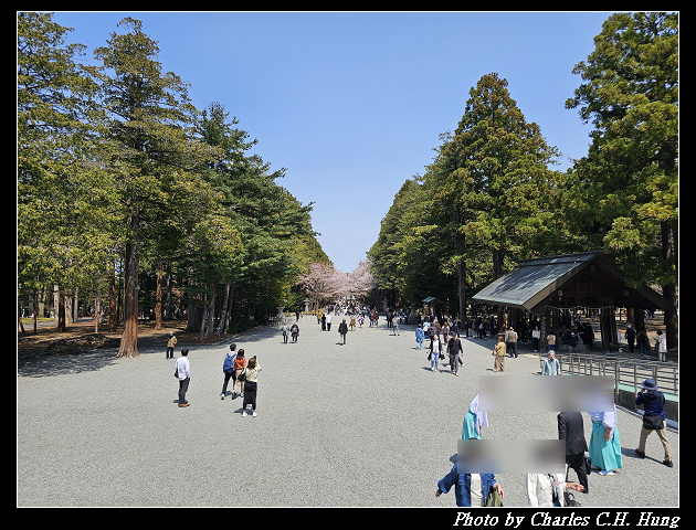 北海道賞櫻–Day 7–円山公園、北海道神宮
