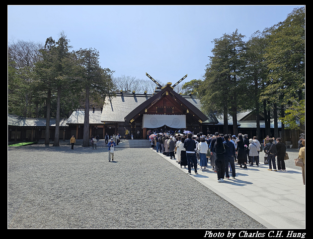 北海道賞櫻–Day 7–円山公園、北海道神宮
