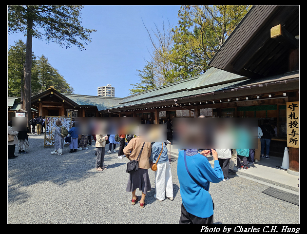北海道賞櫻–Day 7–円山公園、北海道神宮