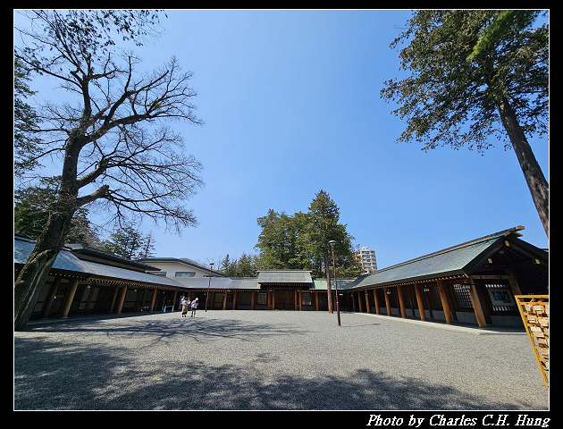 北海道賞櫻–Day 7–円山公園、北海道神宮