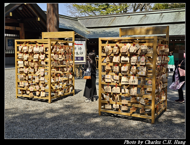北海道賞櫻–Day 7–円山公園、北海道神宮 - 第112張圖 北海道賞櫻–Day 7–円山公園、北海道神宮