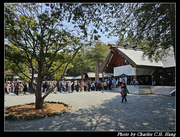 北海道賞櫻–Day 7–円山公園、北海道神宮