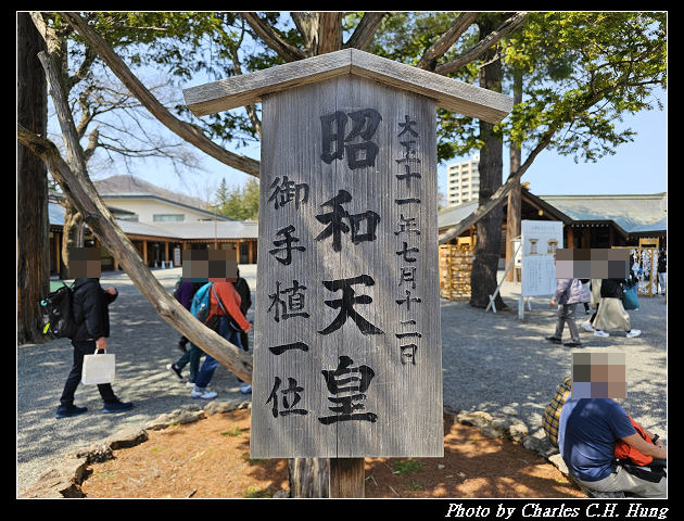 北海道賞櫻–Day 7–円山公園、北海道神宮 - 第118張圖 北海道賞櫻–Day 7–円山公園、北海道神宮