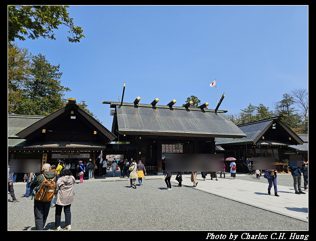 北海道賞櫻–Day 7–円山公園、北海道神宮