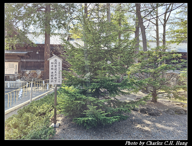 北海道賞櫻–Day 7–円山公園、北海道神宮