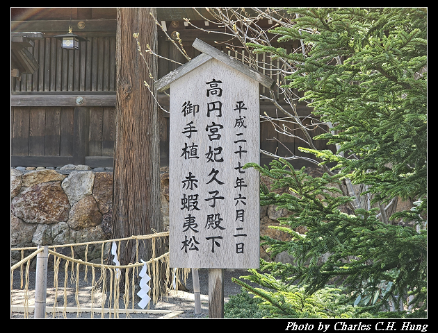 北海道賞櫻–Day 7–円山公園、北海道神宮 - 第124張圖 北海道賞櫻–Day 7–円山公園、北海道神宮