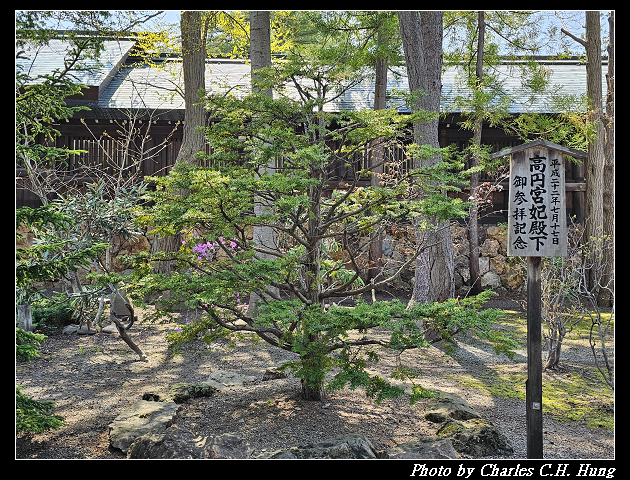 北海道賞櫻–Day 7–円山公園、北海道神宮