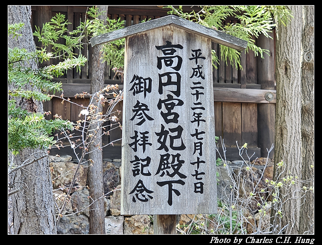 北海道賞櫻–Day 7–円山公園、北海道神宮 - 第126張圖 北海道賞櫻–Day 7–円山公園、北海道神宮