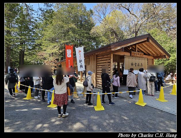 北海道賞櫻–Day 7–円山公園、北海道神宮