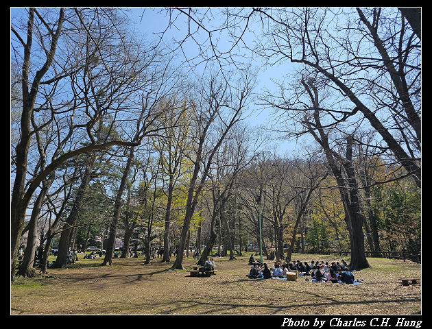 北海道賞櫻–Day 7–円山公園、北海道神宮 - 第136張圖 北海道賞櫻–Day 7–円山公園、北海道神宮