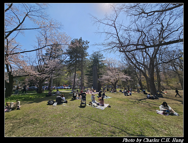 北海道賞櫻–Day 7–円山公園、北海道神宮 - 第140張圖 北海道賞櫻–Day 7–円山公園、北海道神宮