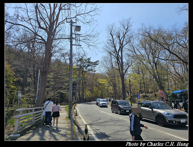 北海道賞櫻–Day 7–円山公園、北海道神宮