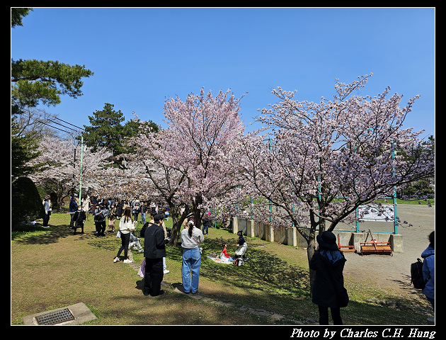 北海道賞櫻–Day 7–円山公園、北海道神宮